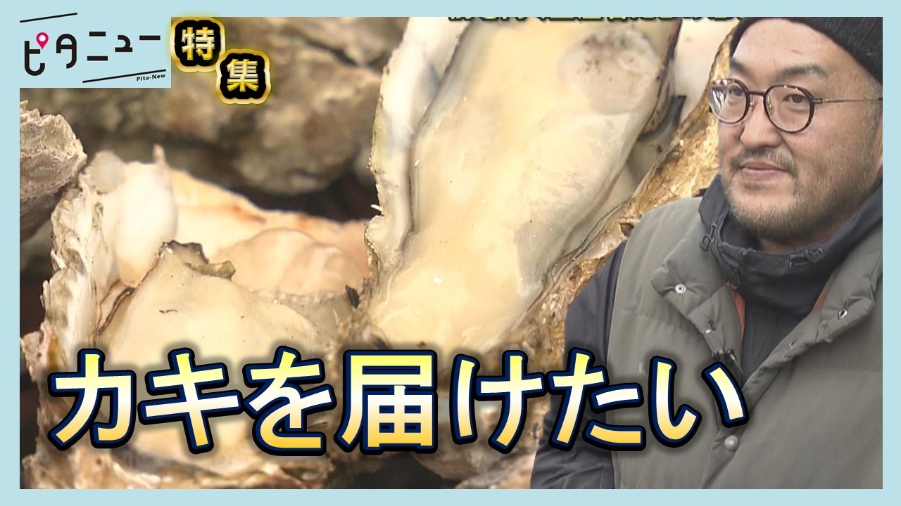【密着】呉水産祭り 前を向くカキ生産者 前代未聞の大量死｜ピタニュー特集
