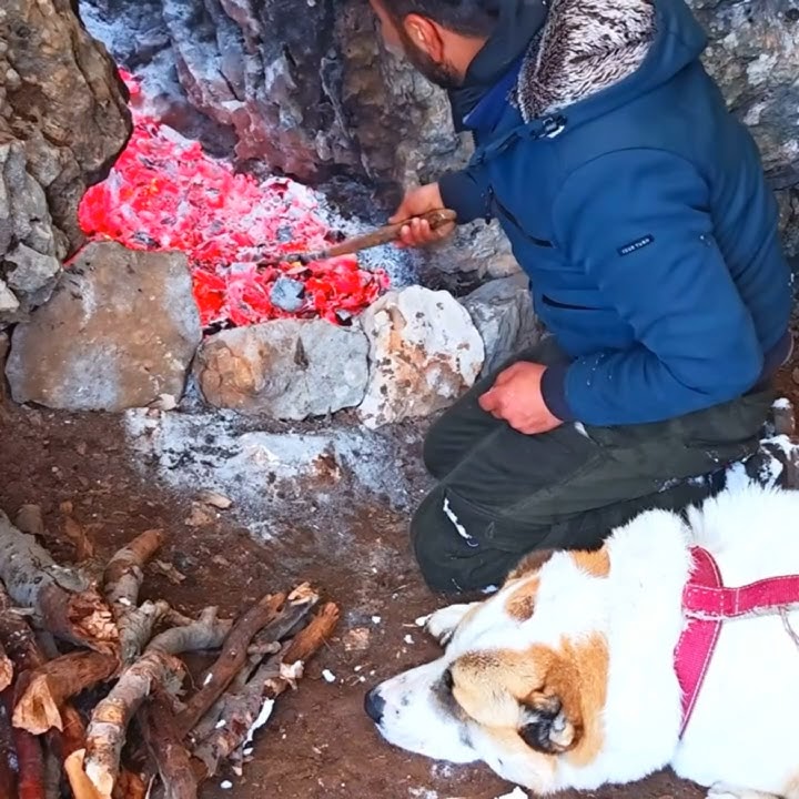 Winter snowstorm camping - Bushcraft survival shelter  #survival #campping #winter #diy