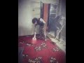 ياهيك الزلم يا بلا ياهيك الزلم يا بلا