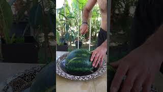 Watermelon and miracle nature Shorts