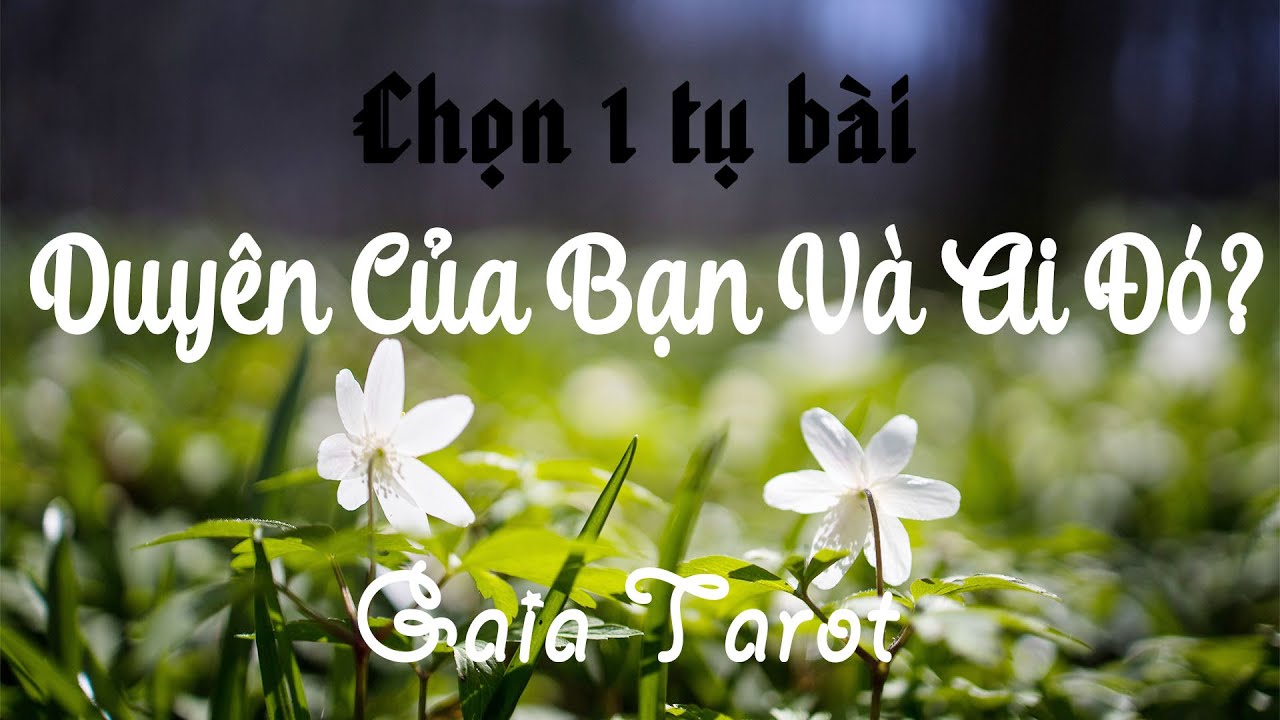 Chọn 1 Tụ Bài - Duyên Của Bạn Và Một Ai Đó? - Gaia Tarot