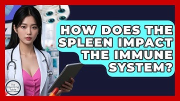 How Does The Spleen Impact The Immune System? - The Operating Table