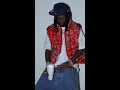 Playboi Carti Projects Take A Risk Unreleased LEAK 