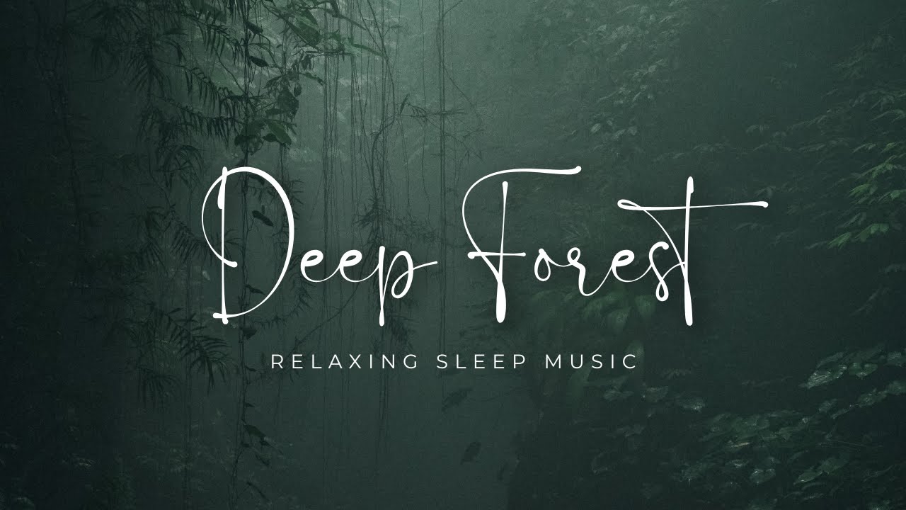 🌿 Deep Forest Relaxing Sounds | Nature's Serenity | Stress Relief ...