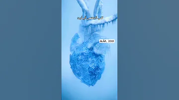 انا لا اريدك انا اريد المال Music Rap Hiphop Beats الكيبوب اكسبلور Twice Bts Blackpink 