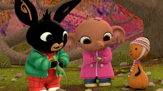 Fossiel Van Mij Touwtje Springen En Meer  Bing En Zijn Rienden  Nederlands Tv