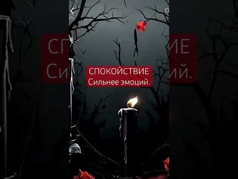 #motivation #motivational #рекомендации #успех #мотивациянауспех #жизнь #сила #сильныесловасосмыслом
