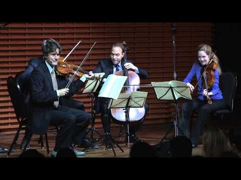 The Humor of Hadyn | St. Lawrence String Quartet | TEDxStanford