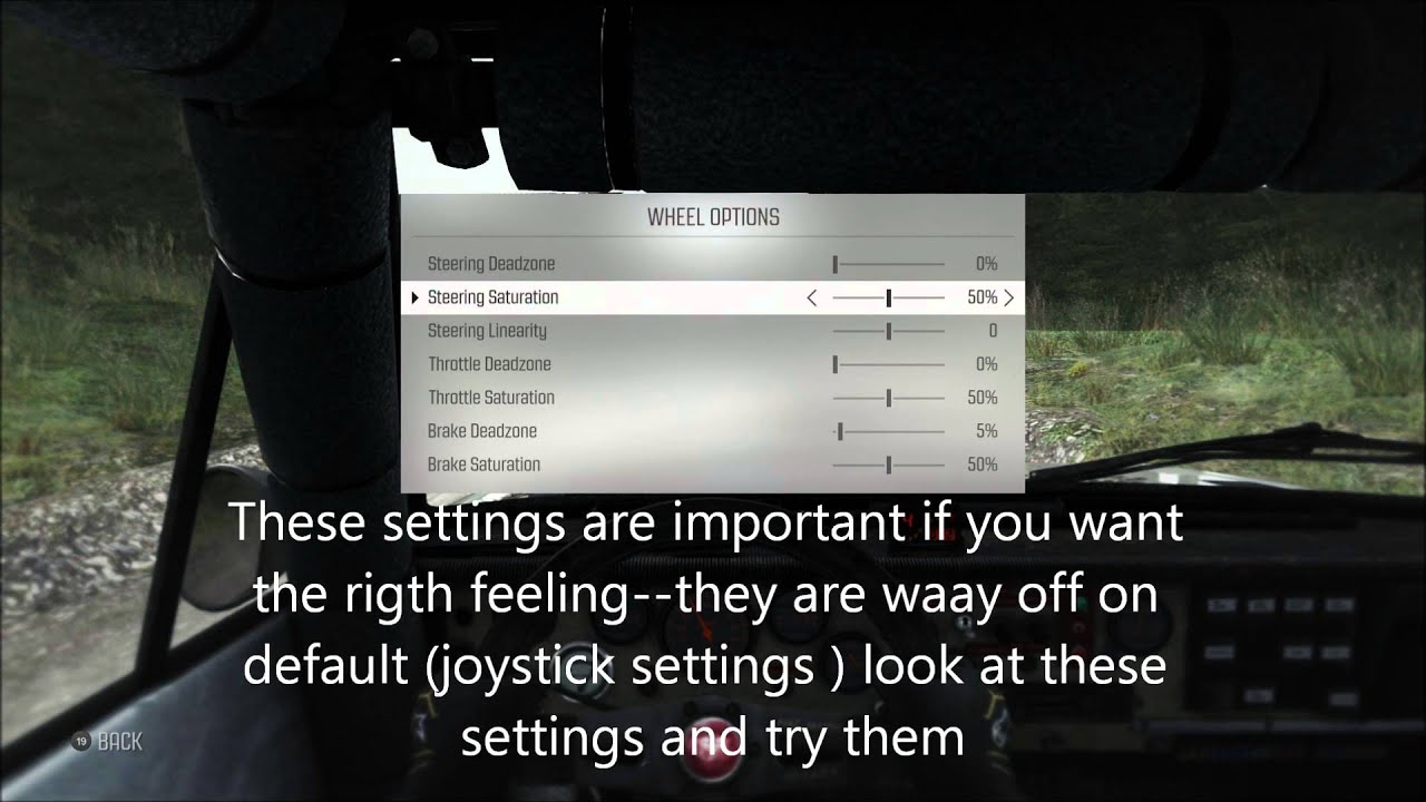 Dirt Rally how to find clutch and shifter option YouTube