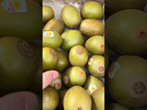 هذه المواد لن تستغني عنها بعد اليوم القصاب الشامي