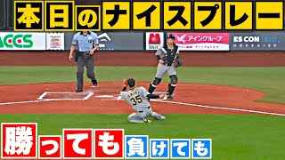 【勝っても】本日のナイスプレー セ・リーグにやられた編【負けても】(2023年6月11日)