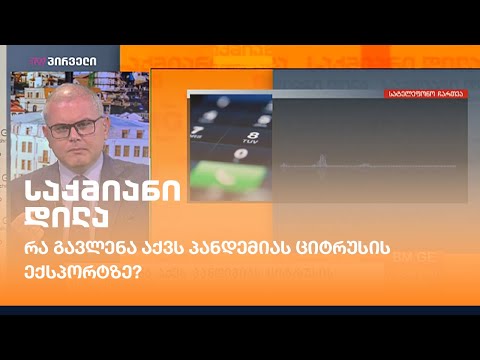 რა გავლენა აქვს პანდემიას ციტრუსის ექსპორტზე? - კახა შავაძე დეტალებით საქმიან დილაში