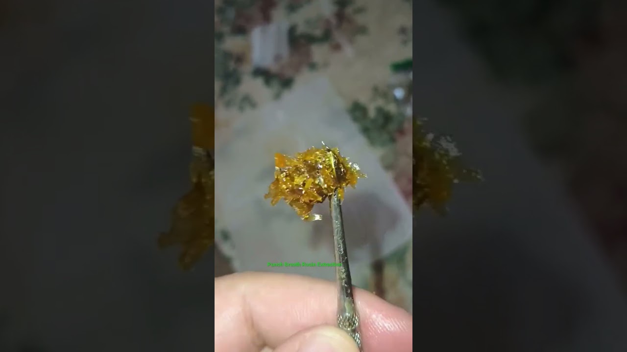 Rosin Return from Pressing Punch Breath Strain 6gram Squish