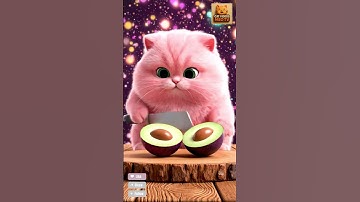Super cute chubby pink cat is cutting fruit - Part 14 - Cat Videos Meo TV #shorts
