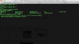 Angular HelloWorld