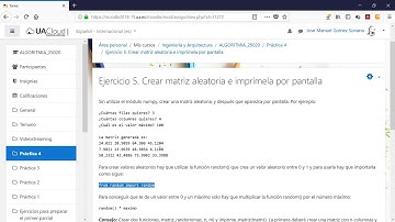 Práctica 4. Ejercicio 5. Crear matriz aleatoria e imprímela por pantalla