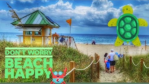 Hurrá, újra lehet strandolni! 🐢 Teknősökre, távolságtartásra még vigyázni kell!