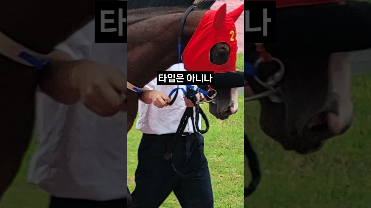 26.01.18 서울경마 07경주