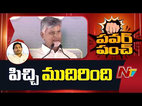 CM Chandrababu Fires On YS Jagan Over MAVIGUN | NTV Telugu - NTVTELUGU