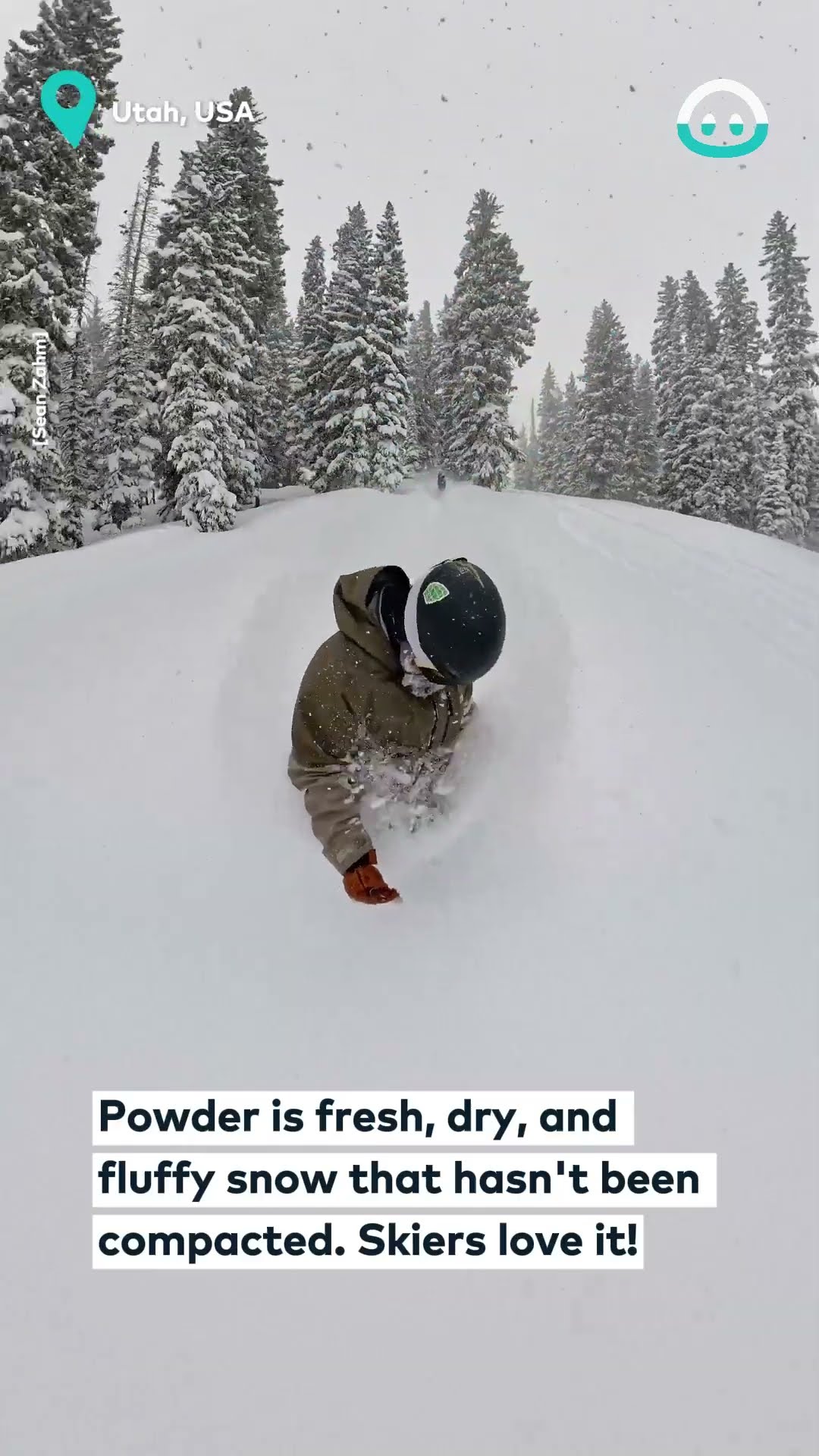 Snowboarding In Two Feet Of Powder || ViralHog