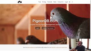 PigeonDB.com - Location Field