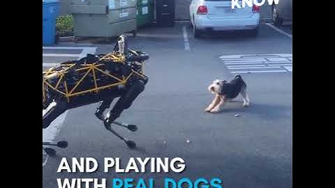 Boston Dynamics’ newest robot dog can open doors by itself