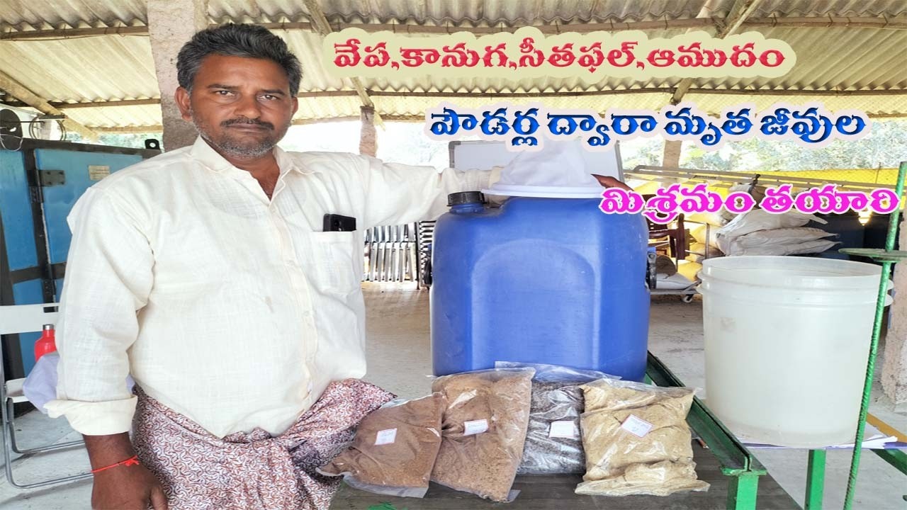వేప ,కనుగ,సీతాఫల్ ,ఆముదం పౌడర్ల ద్వారా మృత జీవుల మిశ్రమం  తయారీ | @organicchillitrading6955