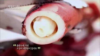 총알오징어찜