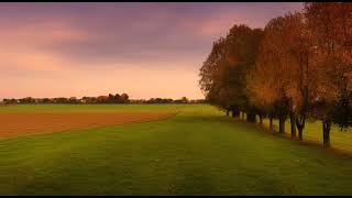autumn field ambience 8 HOURS | french countryside soundscape for sleep & relaxation