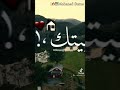 وياريت مالقيتك وياريت مالقيتك
