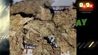 Strain of the Day