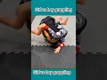 “Girl vs Boy Grappling Match – Unexpected Strength! 😱🔥 #shorts”
