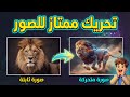 تحريك احترافي للصور بكل نماذج التحريك المتاحة حاليا من موقع واحد فقط بالذكاء الاصطناعي 