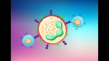 Understanding How Leukemia Evades the Immune System