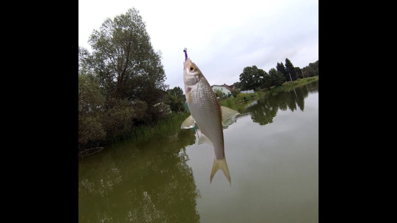 От мормышки до дроп - шота и обратно.