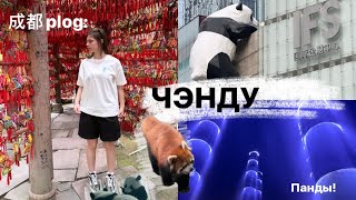поездка в Чэнду| панда-парк, провинция Сычуань 🐼🎋