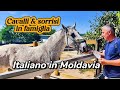 Italiano in Moldavia |  Una giornata in famiglia allo zoo con la nostra bimba
