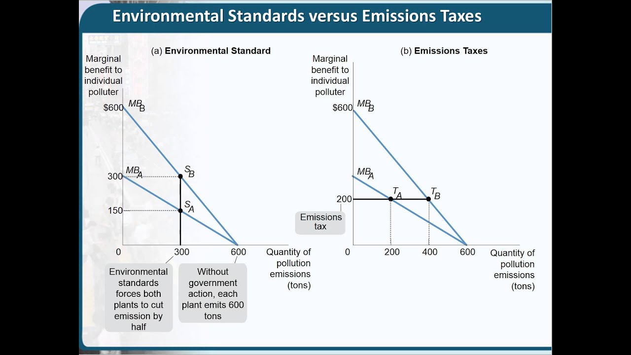 Chapter 16 Externalities - YouTube