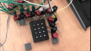 EECS 1011 Lab 6 Part 5