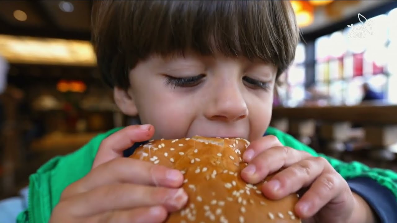 Obezita – tichá epidemie | Světový den proti obezitě v Živě s Noe