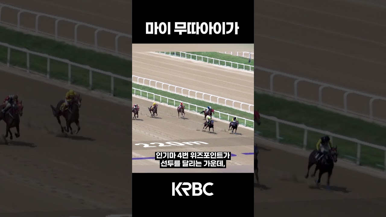 부산가라...마이 무따 아이가 #shorts #경마방송 #기수 #경주마 #경마 #KoreaHorseRacing