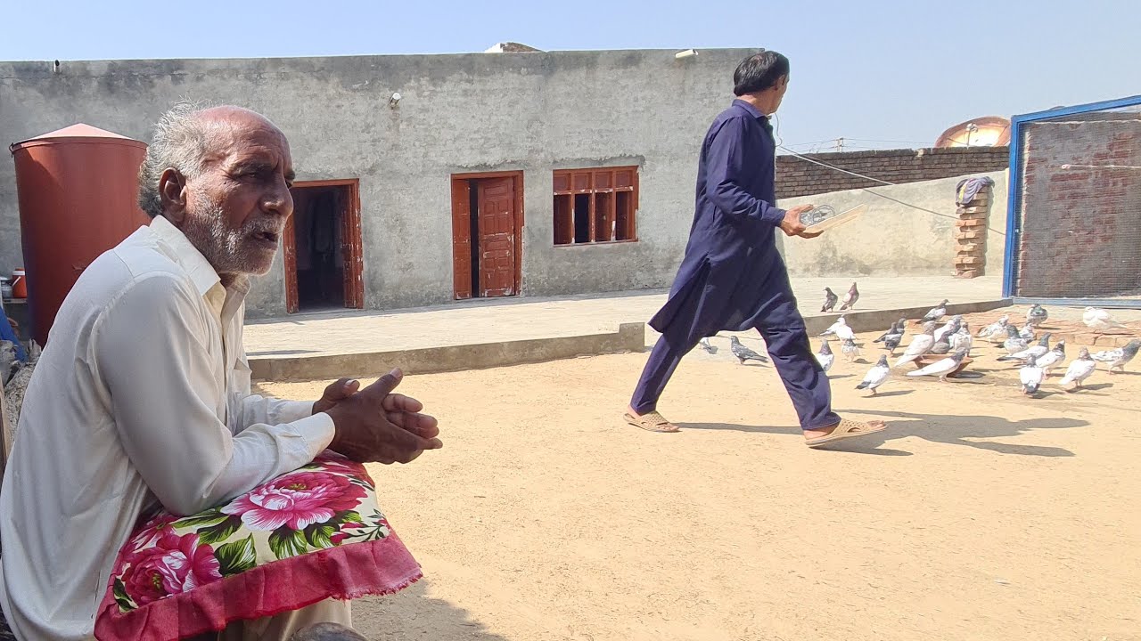 Lanbardar k champion Lakhy Kabotar 