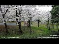【 LIVE 】JAPAN 東京都足立区立みだまえ公園 ライブカメラ TOKYO MIDAMAE PARK live camera webcam livestream