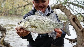 Everything You Need to Know for White Bass (Fish With Me!)