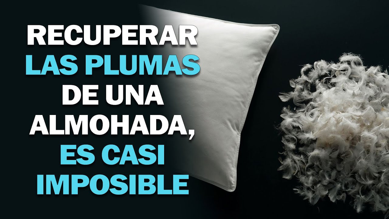 Almohadas de plumas : Los cuatro mayores mitos desmontados •