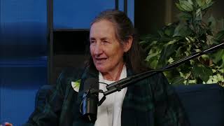 Medical Mysteries: Rising Diseases & The Power of Hope #shorts