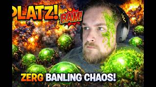 Starcraft 2| Banelings vs Terraner | Zerg Grind | !discord