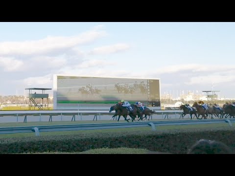 【第73回朝日杯フューチュリティステークス】現地映像・ゴール板付近（2021/12/19 阪神競馬場）