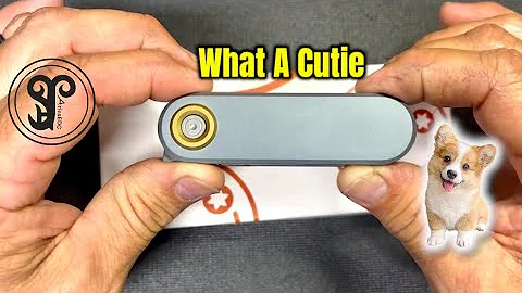 Vosteed Corgi V Quick Review