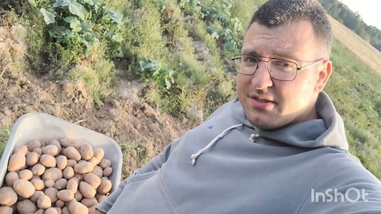 Wykopki 2022 Ziemniaki Bellarosa/Ranomi Ziemniak w cenie z zeszłego roku ?